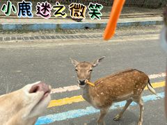 -常州淹城野生动物世界