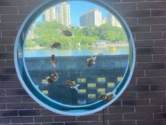 -珠海圆明新园