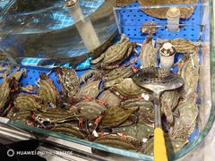 -陈家小院(阜昌路店)