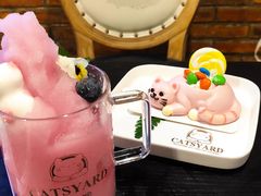 -猫小院猫主题咖啡厅(北锣店)
