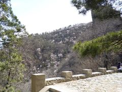 鹫峰，很漂亮的山花-北京鹫峰国家森林公园