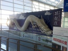 -中部国际机场