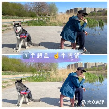 亦庄滨河森林公园~️想走️想留