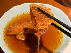 -觀芷隐轩