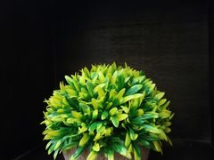 -友情园(望海路店)