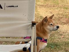 -阳澄湖半岛旅游度假区