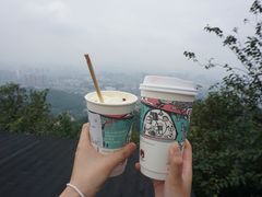 -茶颜悦色(岳麓山顶店)