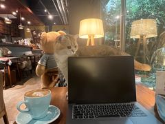 -咖法森林·咖啡  酒吧(天河店)