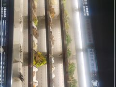 -屋头串串(新街里店)