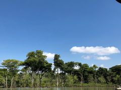 -东寨港红树林旅游区