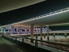 -演武大桥观景平台