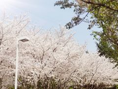 -白塘生态植物园