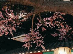 -荷塘秋月·本帮江浙菜(国权路店)