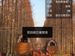 -黄海国家森林公园