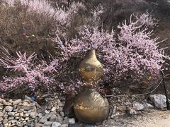 景点-鸡鸣山旅游风景区