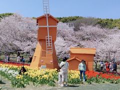 -苏州上方山国家森林公园