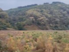 -南泥湾风景区
