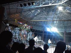 -清迈夜间动物园