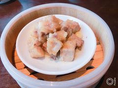 蒸排骨-闻莺馆(柳浪闻莺店)