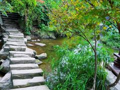 -重庆彩云湖湿地公园