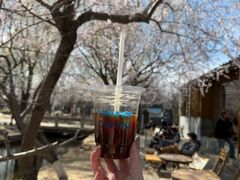 -春风习习