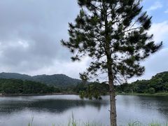 -海南热带雨林国家公园吊罗山景区