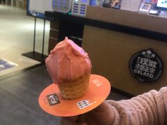 -野人先生现做冰淇淋(北京环宇荟店)