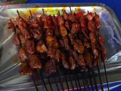 -尕胡才炕锅烤羊肉馆(八一路店)