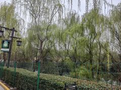 -西安汉城湖景区