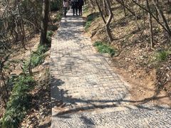 -紫金山山顶公园