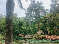 -曼听御花园