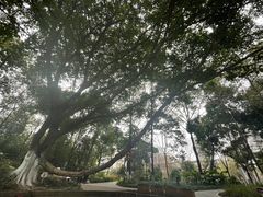 -成都市活水公园