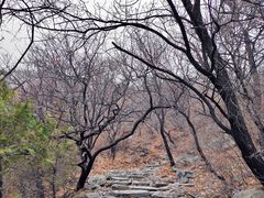 -阳台山自然风景区