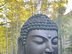 -杭州植物园