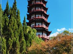-绳金塔