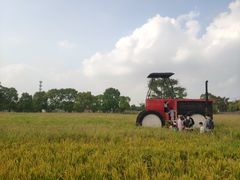 -嘉北郊野公园