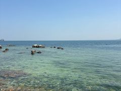 -养马岛旅游度假区