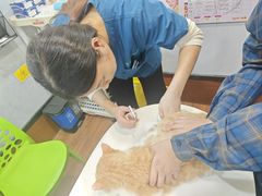 -瑞派动物医院·绝育·犬猫全科·预防医学(光景江南中店)