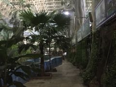 -龙脉温泉室内游泳馆