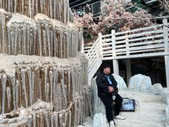 -大塘金香草谷