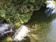 -百脉泉景区