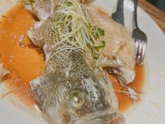 -YAFEE雅菲·粤菜·湘菜·融合菜(魏公村店)