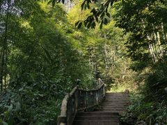 -沐川竹海旅游景区