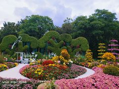 -共青国家森林公园-售票处