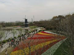 -上海鲜花港