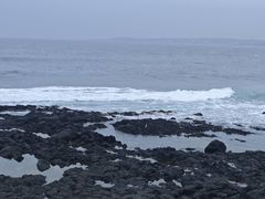 -涉地可支