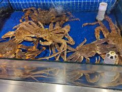 -今鲜源大酒店·中华餐饮名店(新湛路店)