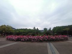 -杭州城北体育公园