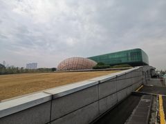 -金陵图书馆