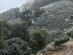 -十里琅珰
